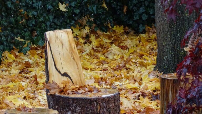 Holz im Garten natürlich pflegen: Öl, Lasur oder einfach vergrauen lassen?