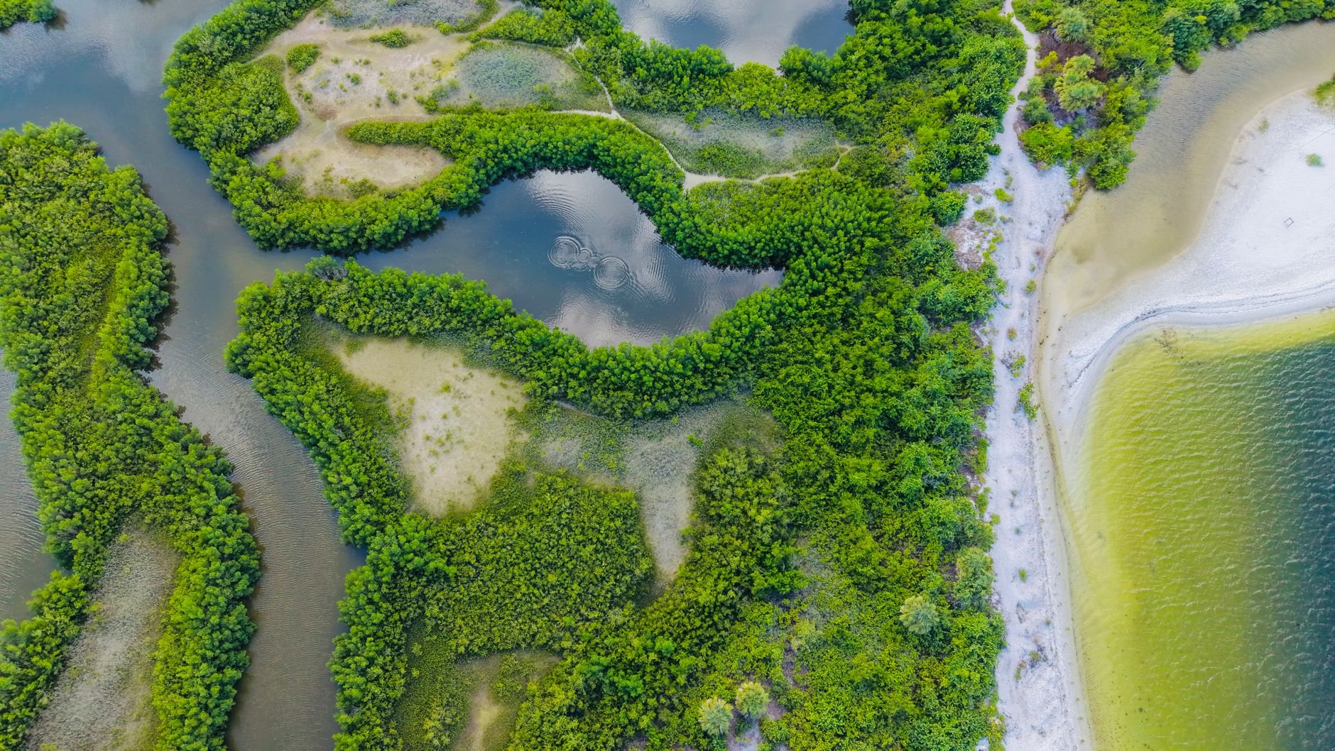 Natur im Hamburger Umland: Die besten Ausflugsziele