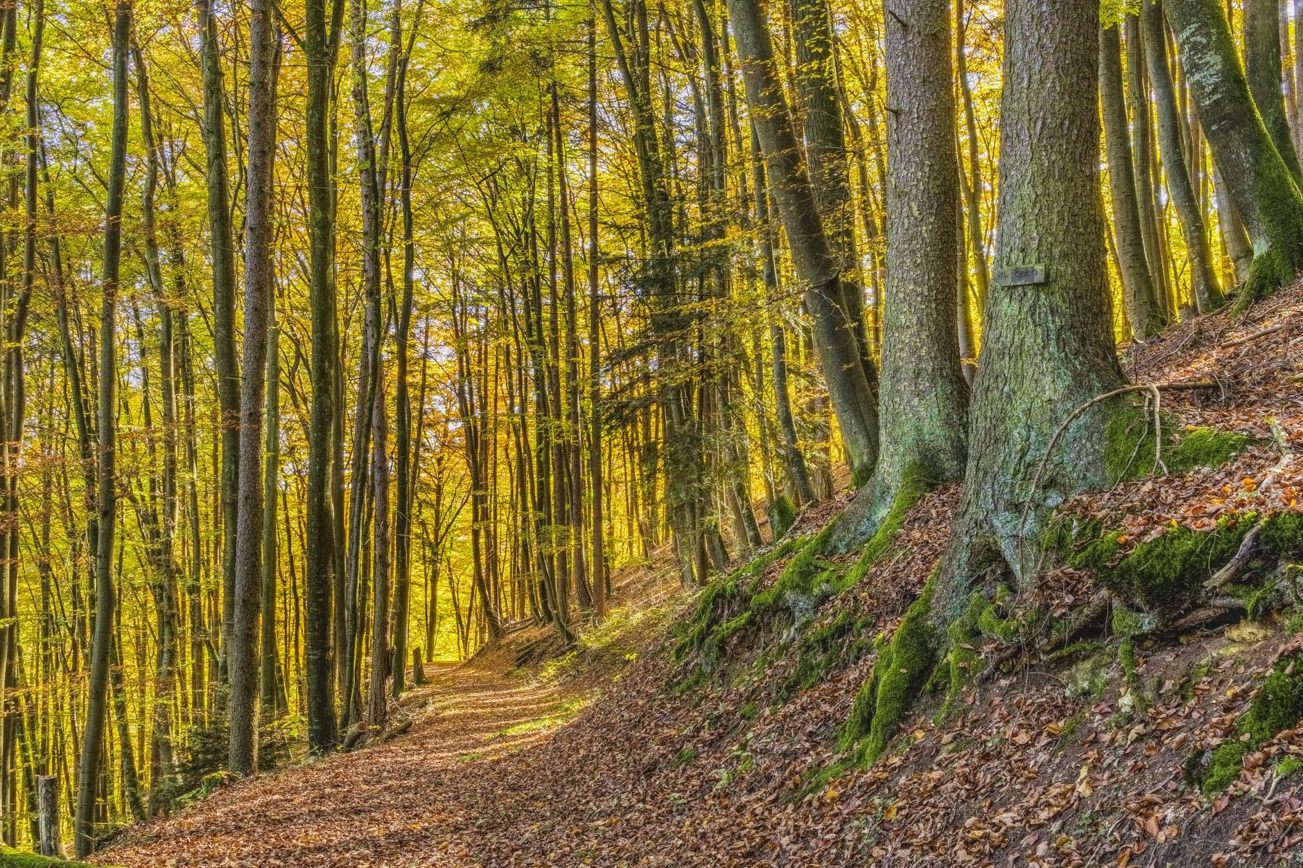 Natur und Wellness rund um Zürich: Die besten Ideen für eine Auszeit