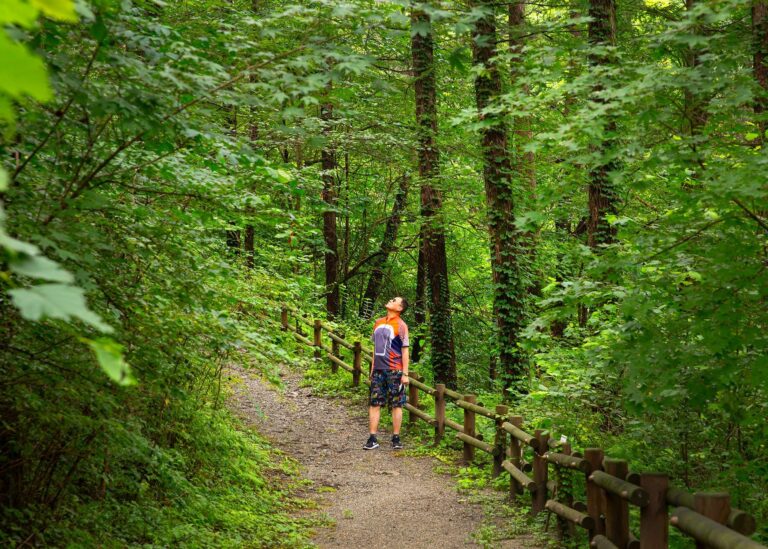 Natur verstehen: Begriffe, die jede Wanderung bereichern