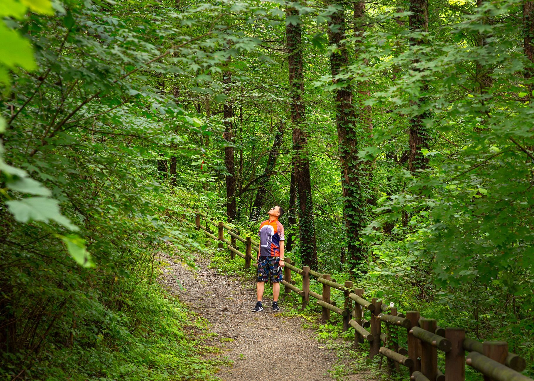 Natur verstehen: Begriffe, die jede Wanderung bereichern