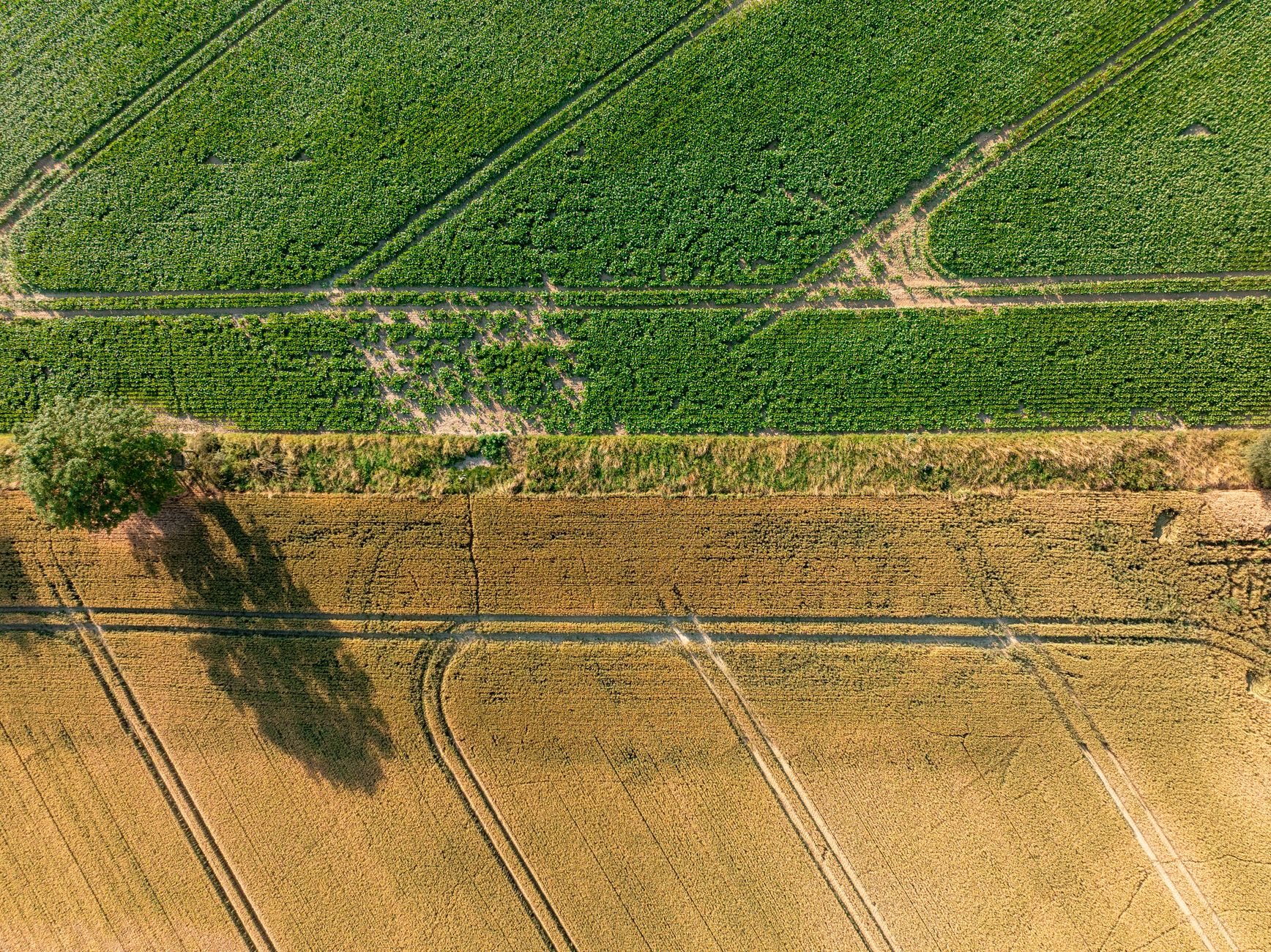 Umziehen ans Meer: Schleswig-Holsteins Küste lockt
