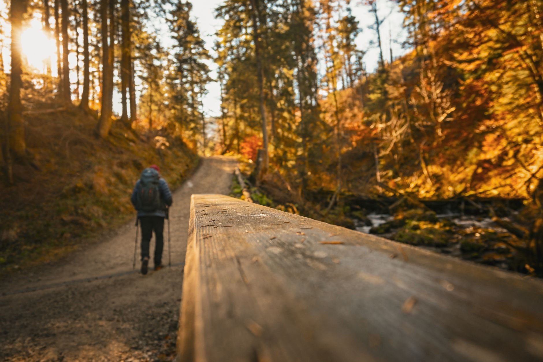 Wandern als Ausgleich: Warum die Natur entlastet